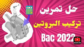 تمرين رقم 11 بكالوريا 2022 [ تركيب البروتين ] - كيف نحسب الوزن الجزيئي 🧭 ؟