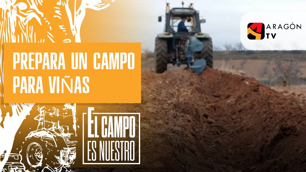 Josema prepara un campo para cultivar viñas