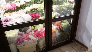 : VLOG:   :  8  //04  2020  