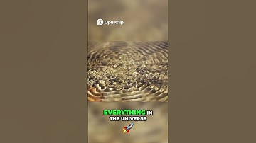 Unlocking the Secrets of Vibration  The Energy Within