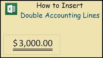 How to make the Double Accounting Lines in Excel