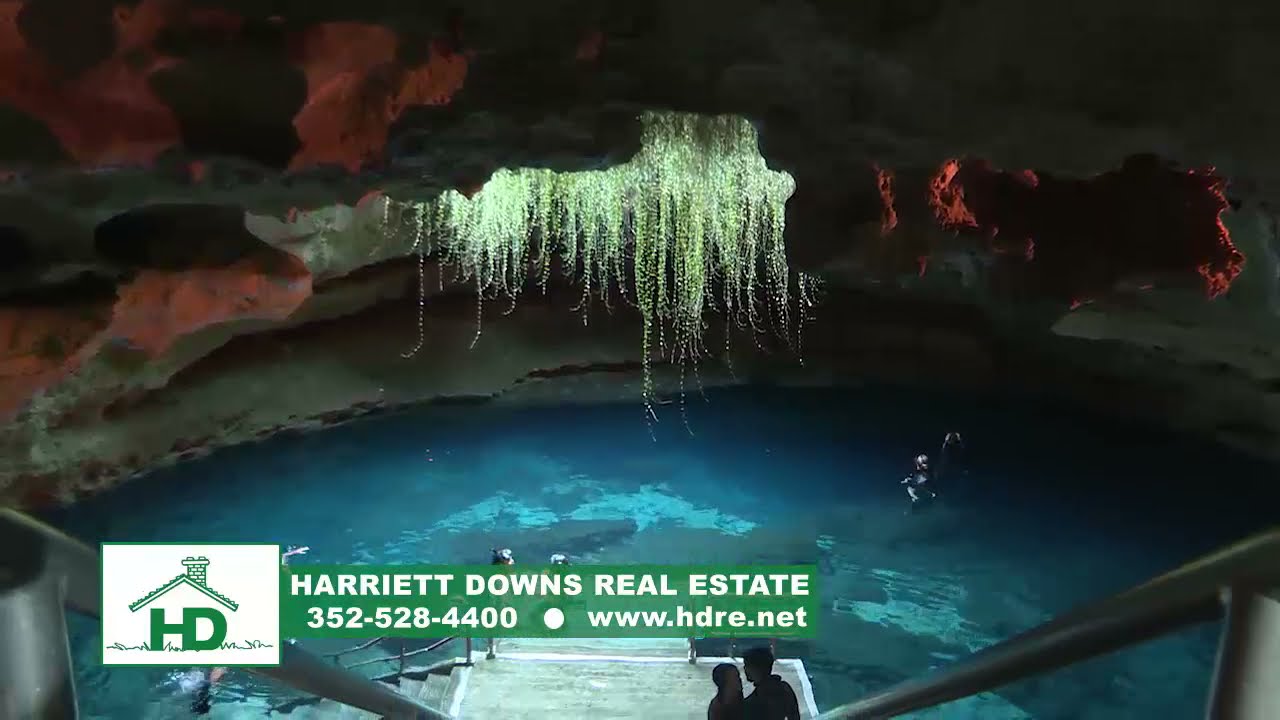 Harriett Downs Real Estate, Williston, Florida YouTube