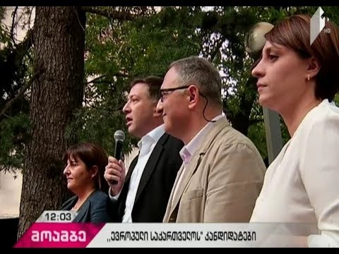 მერობის კანდიდატი უკვე წარდგენილი ჰყავს „ევროპულ საქართველოს“