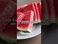 Зашишает зрение