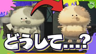 こじゃっち様 考察】Directにチラッと映った変化！続・コジャッジくんがボサボサに