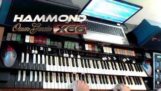 HAMMOND X66 - Gavilan Pollero - Omar Garcia