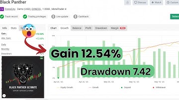 Black Panther EA v1.5 – Powerful MT4 Robot for Profitable Trading!