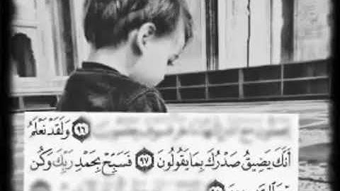 الشيخ ماهر المعيقلي 🎧 حالات واتس اب قرآن كريم 💙