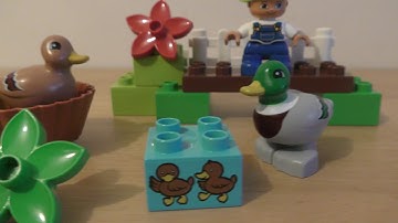 Lego Duplo Forest: Ducks 10581 Review Build Instruction