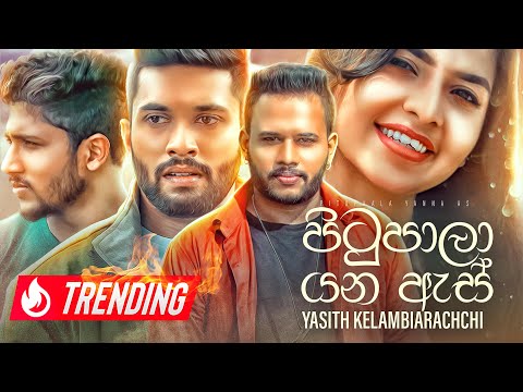 Pitupala Yana As (පිටුපාලා යන ඇස්) - @yasithkelambiarachchiyash (Official Music Video)