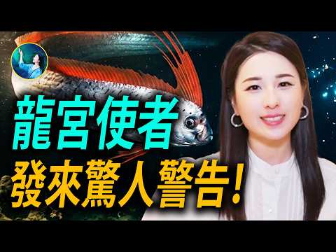 龍宮使者來送信了！深海拍到神秘巨影！消失百年「海怪原型」首度曝光，全球強震頻發…古老預言正在成真？| #未解之謎 扶搖