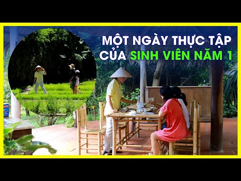 Video Đi thực tập ở SIX SENSES NINH VÂN BAY | MỞ HỘP TBD #3 - YouTube
