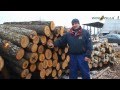 Exports of alder round wood logs from Ukraine | WOODZILLA Ltd