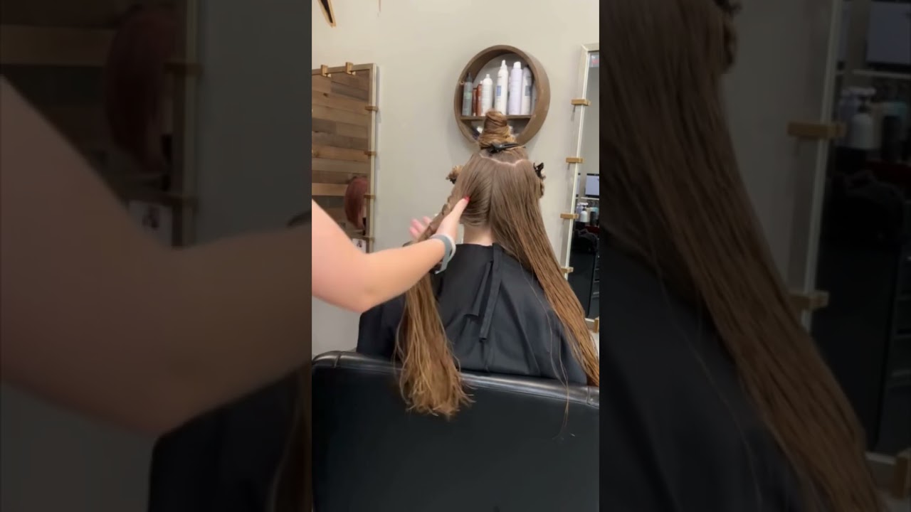 Barracuda Ultra Sectioning Clips 