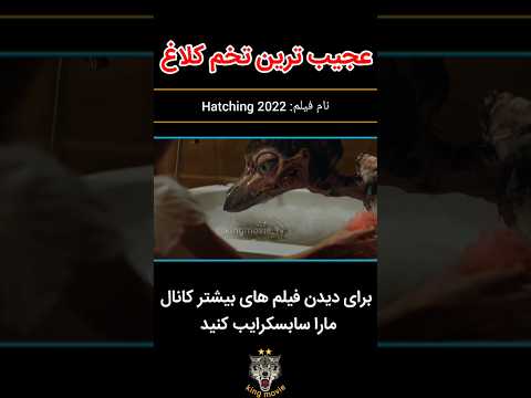 عجیب ترین تخم کلاغ فیلم ترسناک و هیجانی