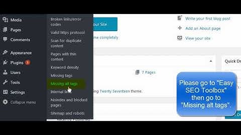 Easy SEO Toolbox Missing Alt Tags Tutorial