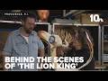 Going behind the scenes at 'The Lion King' at Providence Performing Arts Center