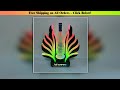 Custom Nightclub Led Champagne Bottle Presenter logo colorful Peacock Tails Display Bird Rainbow