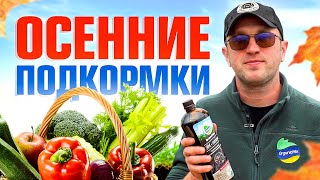 Осенние подкормки для богатого урожая от Органик Микс