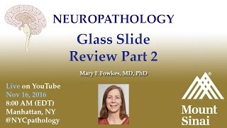 Neuropathology: Slide Review Part 2 screenshot 4