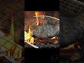 誰にも邪魔されない焚き火メシ ～豚ロースを喰らう～ #ソロキャンプ #焚き火#campfire #campfirecooking #outdoorcooking #bushcraft #asmr