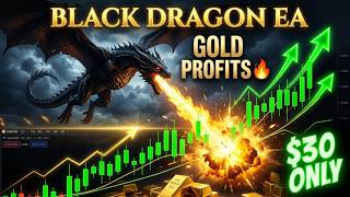 Black Dragon EA MT5 v13 | 0  Our price $30