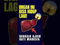 “Organ Tubuh Manusia yang Bisa Regenerasi! 😱”#FaktaTubuh #FaktaUnik #FaktaManusia#Shorts #FaktaKeren