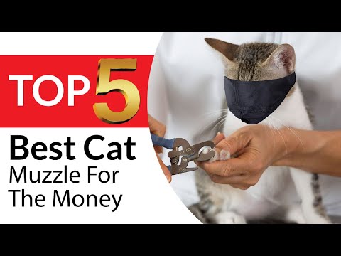 Top 5 Best Cat Muzzle For The Money in 2026