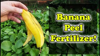 How To Peel A Banana, The Correct Way