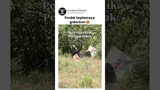 Galiba Yirmağa Doğru Gitti😂