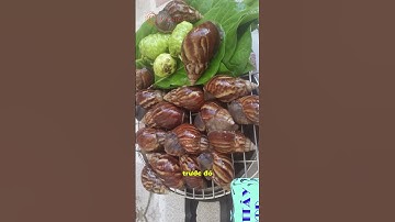 Bé trai NHẬP VIỆN cấp cứu VIÊM MÀNG NÃO vì lỡ ĂN PHẢI thứ này| Dược sĩ Trương Minh Đạt