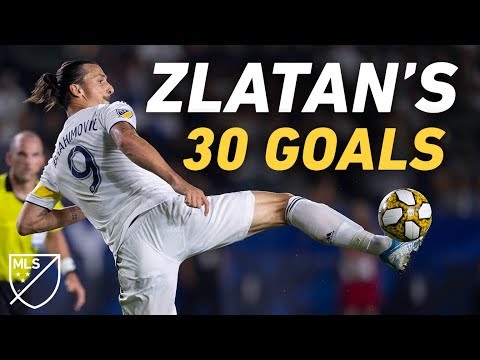 Zlatan Ibrahimovic Conquered MLS with 30 GOALS in 2019! ALL GOALS