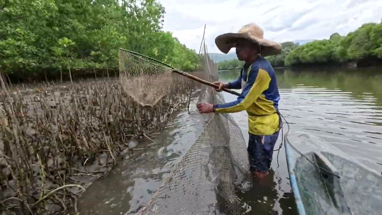 Part 1 Namandaw kami ng sara ni Tatay sa ilog. Pahanon na ulit ng Midyad (Samaral or Kitong)
