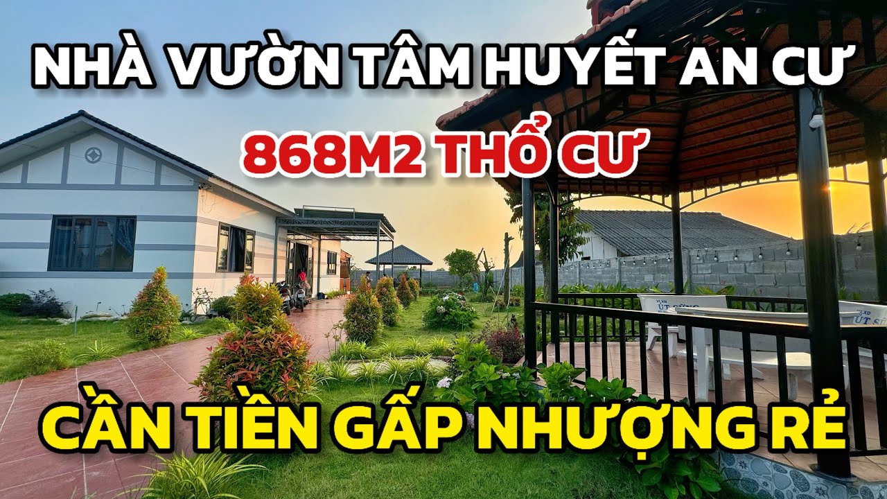 Nhà vườn tâm huyết an cư rộng 868m2 full đất thổ cư, giảm gấp 1,1 tỷ, gần chợ lớn ra trung tâm TPHCM