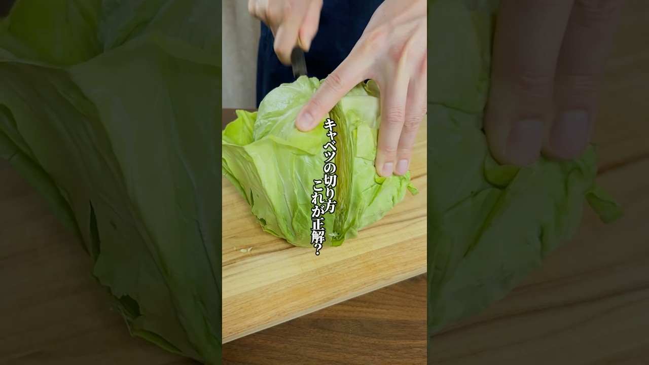 【これが正解？】簡単なキャベツの切り方で「春キャベツの浅漬け」