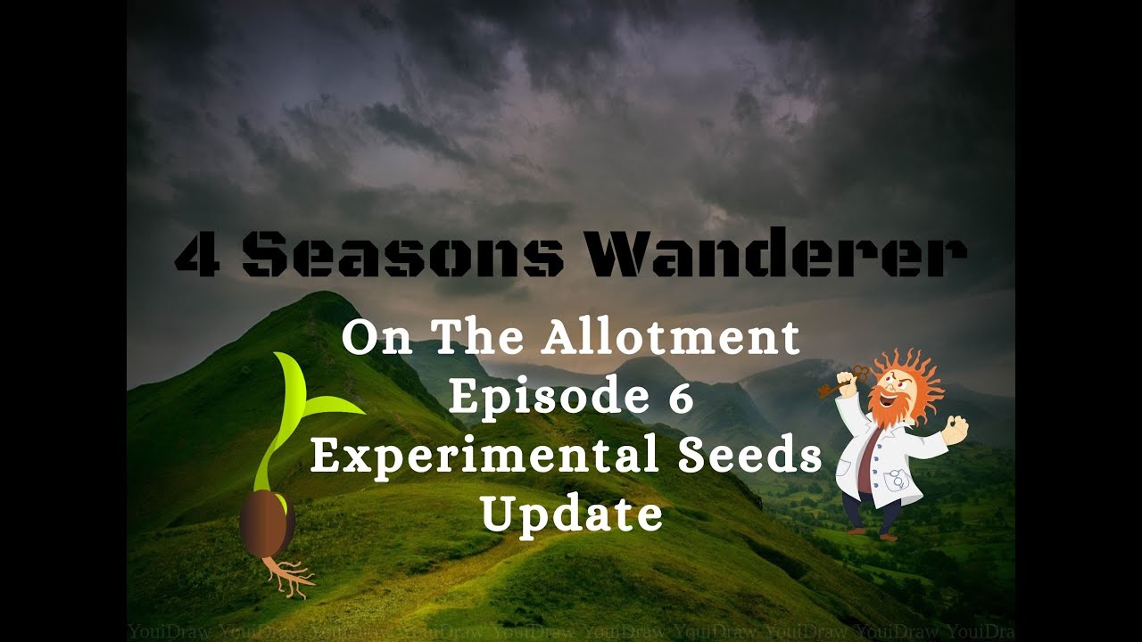 On the Allotment Episode 6 Experimental seeds update