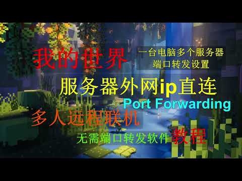 《我的世界:服务器》搭建 开服 多人联机ip直连,无需端口转发软件【设置Port forwarding】，端口转发篇，第二篇