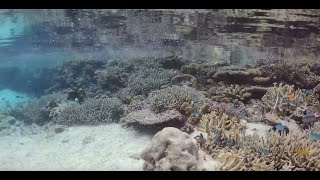 Underwater Measurement Of Oxygen Ph And Temperature