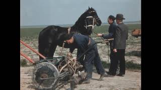 Op de Akker, ca. 1960