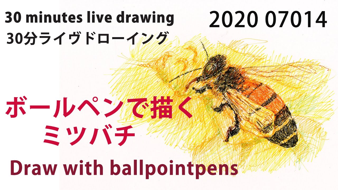 ドローイング 昆虫 スズメバチ 蜂 イラスト アート 絵画 一点物 ペン画 