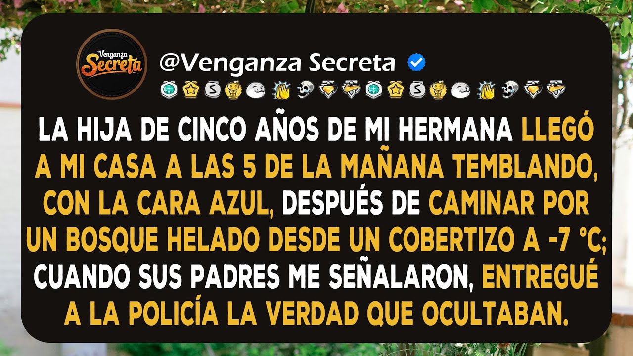 Mi sobrina llegó a las 5 de la mañana muriéndose de frío; mi hermana intentó culparme... pero le...