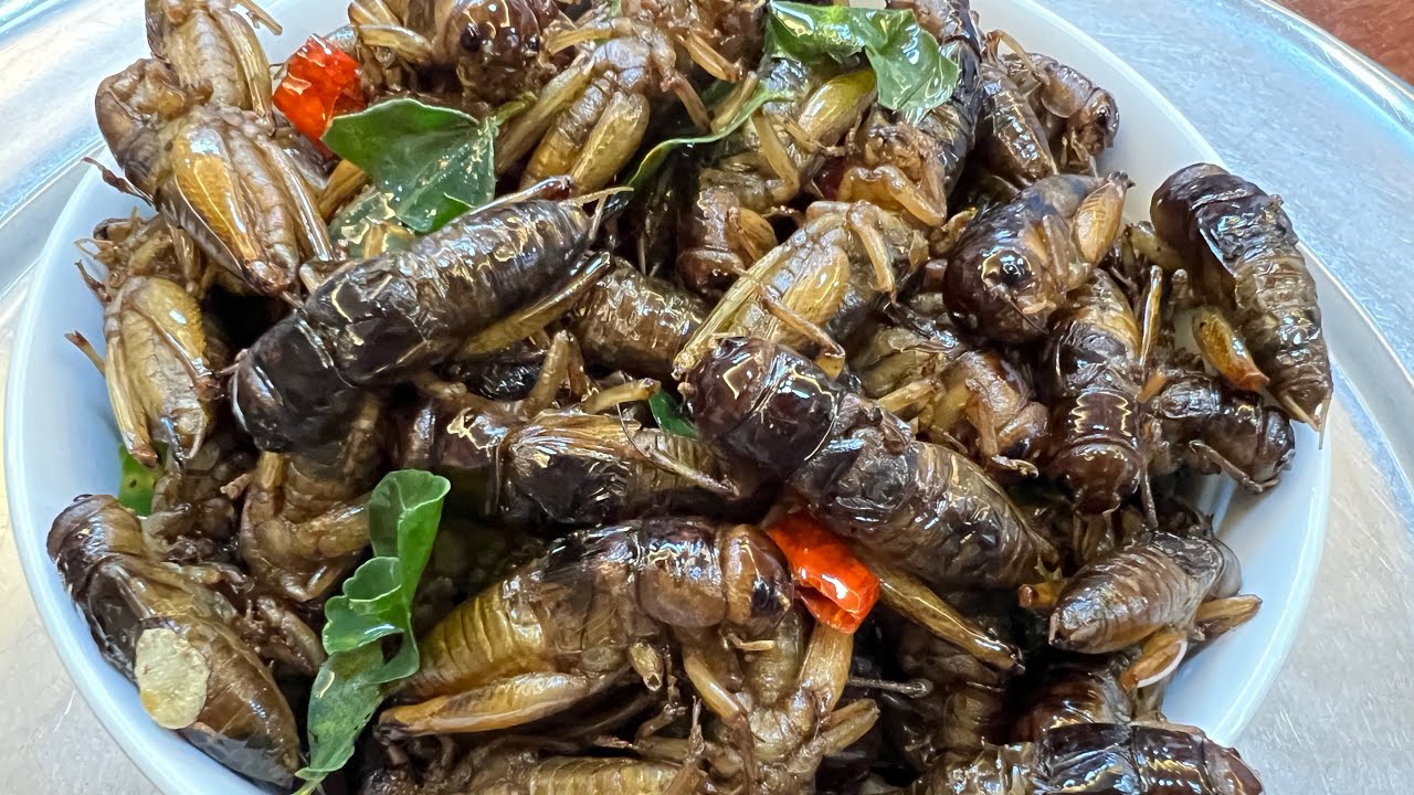 How to cook mold Cricket #insects #Cambodian food - YouTube