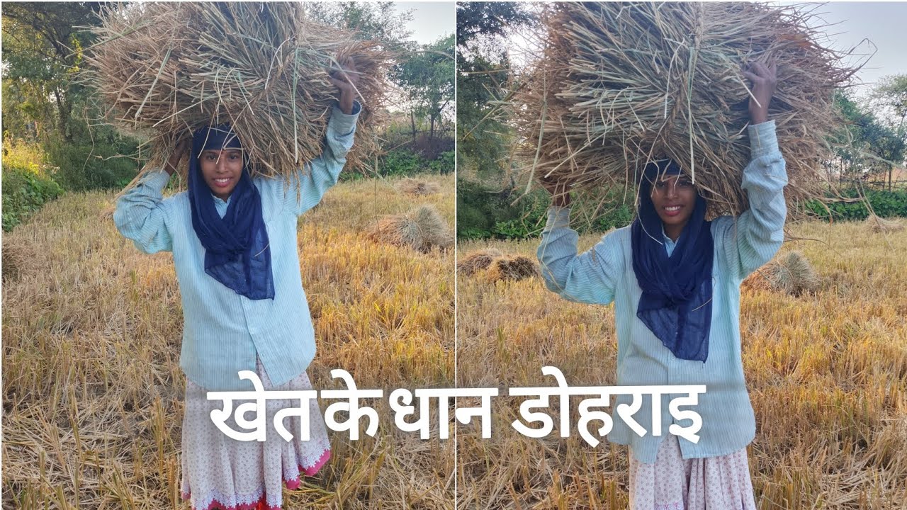 KHET KE KAAM PURA GOGE 🌾🌾