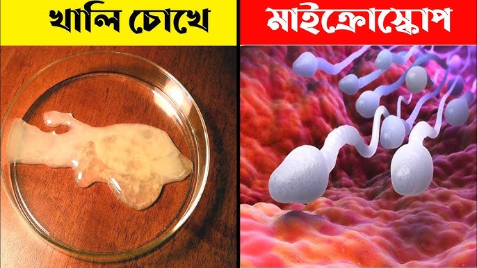 Rossiyada Skype orqali onlayn porno videolar