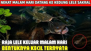 Download lagu RECKLESS‼️ SNEAKING INTO THE SACRED CATFISH POND AT MIDNIGHT