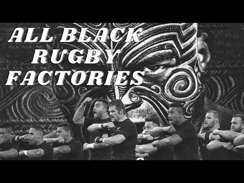 Which schools have produced the most All Blacks?