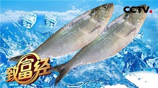 《致富经》 家庭主妇把财捞 全凭水下一把“刀” 20180615 | CCTV农业