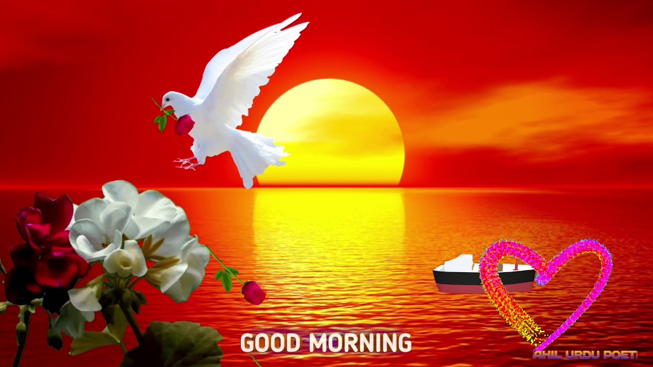 Good Morning Video,Sahil Urdu Point - YouTube