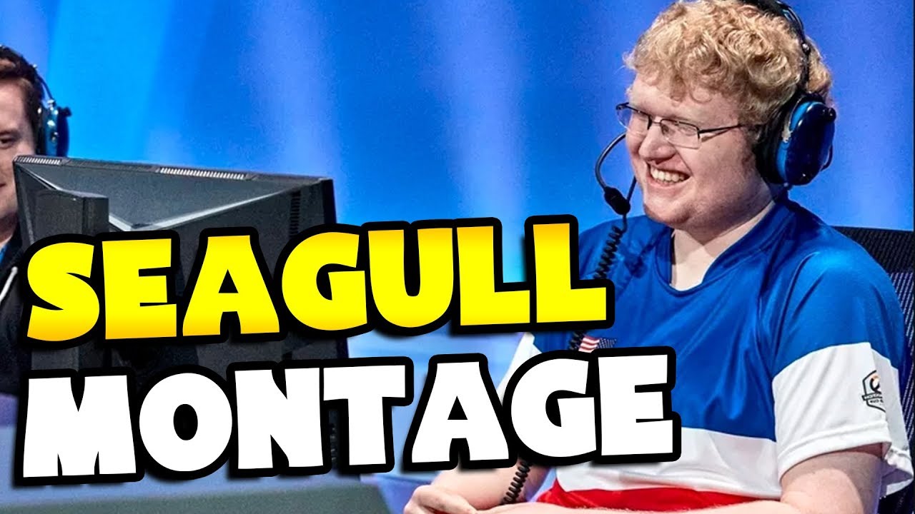 SEAGULL Shows What He Is Capable Of... - Overwatch Montage