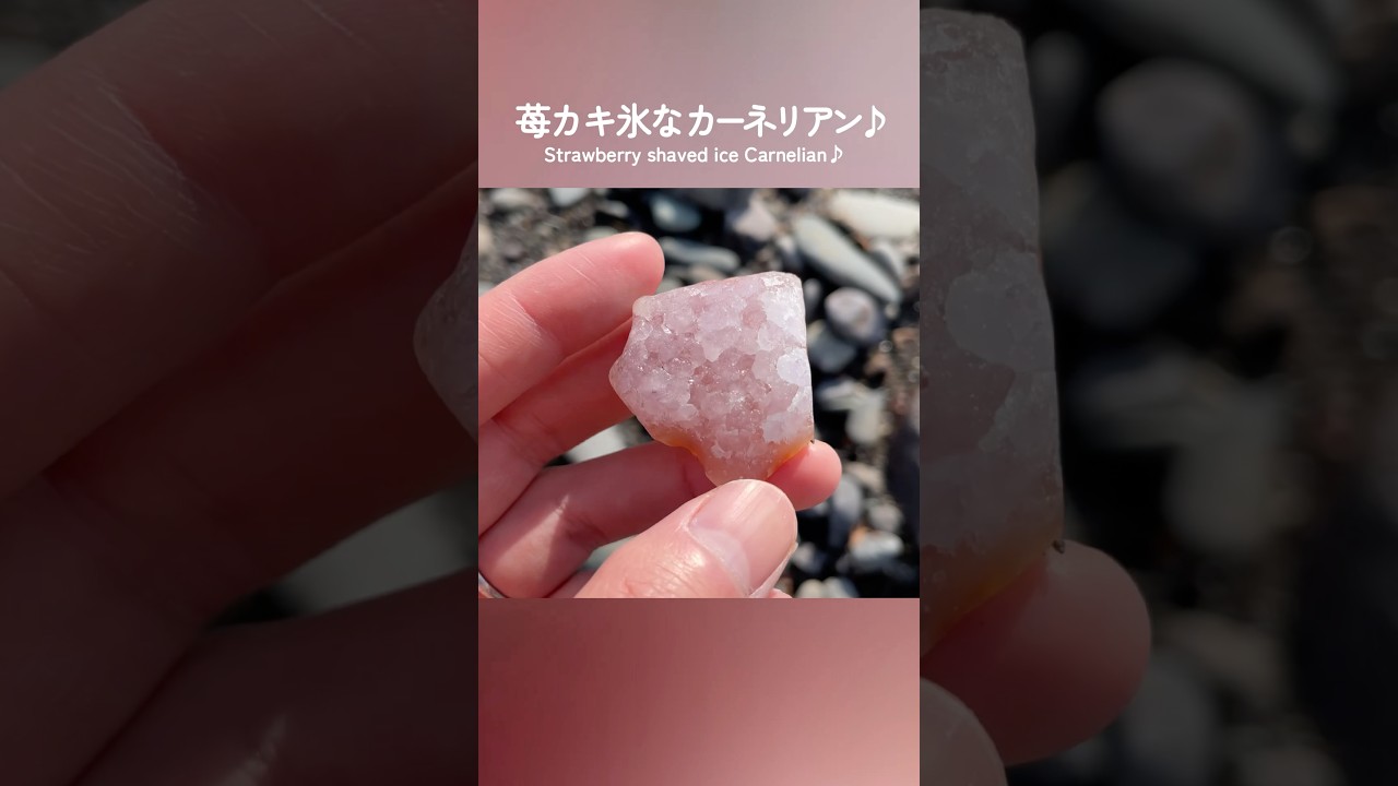 Nishiki-ishi Expedition: Unreleased Cut ① #shorts #stonehunting